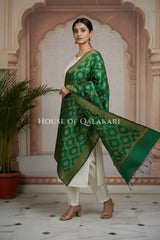silk dupatta 0240 dramatic pose