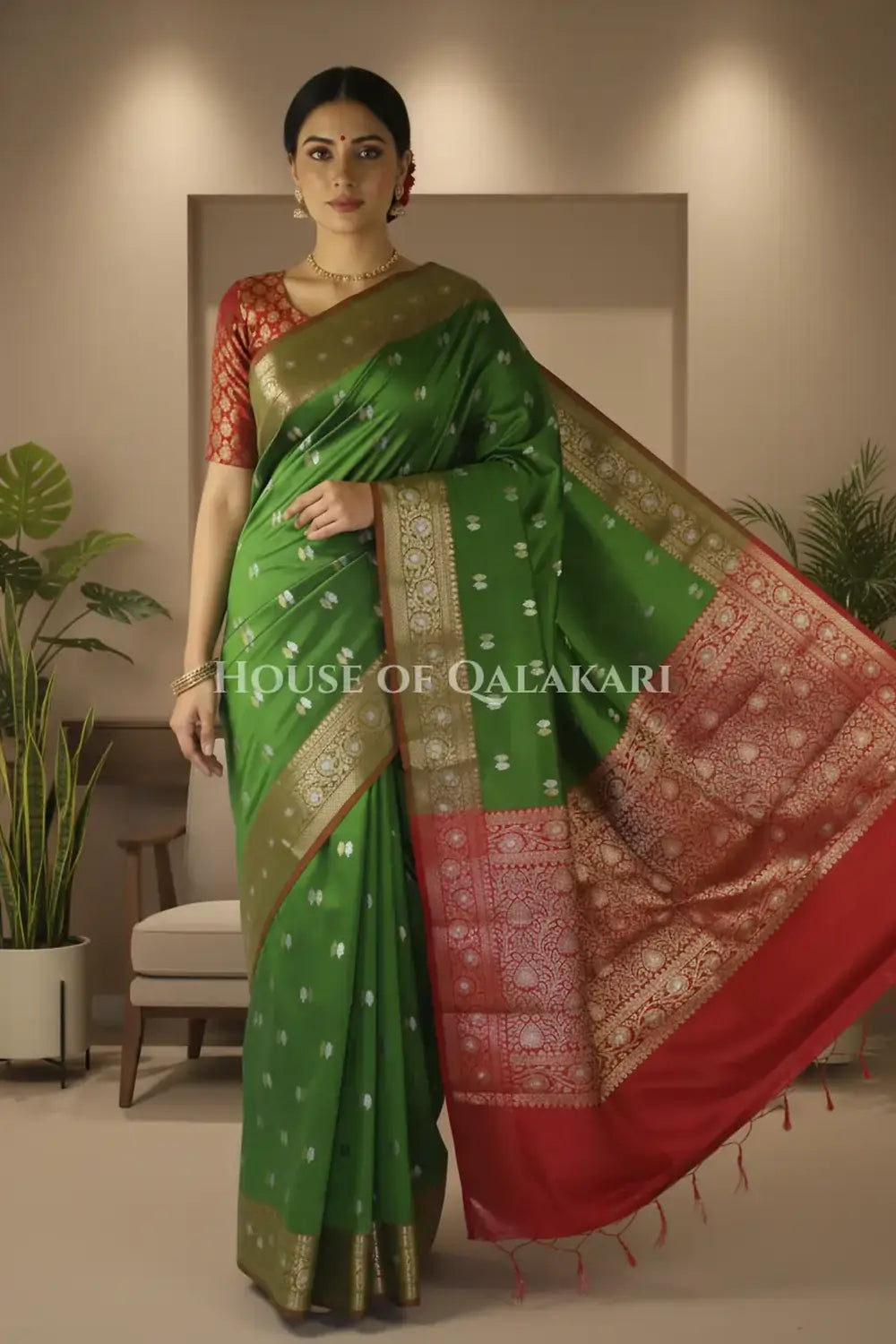 Silk Saree front pose