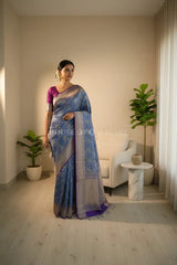 georget silk saree front pose