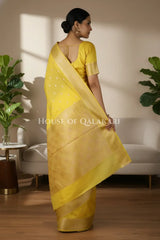 Mushroom silk Saree back pose