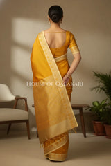 Silk Saree back pose