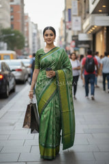 mulmul cotton patola saree 0432 outdoor pose