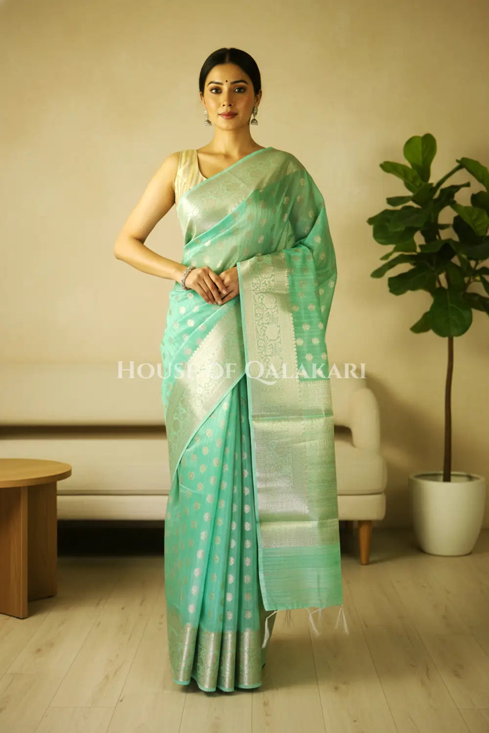 cotton saree front pose