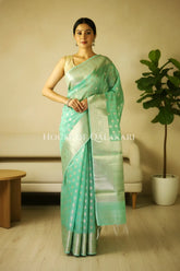 cotton saree front pose