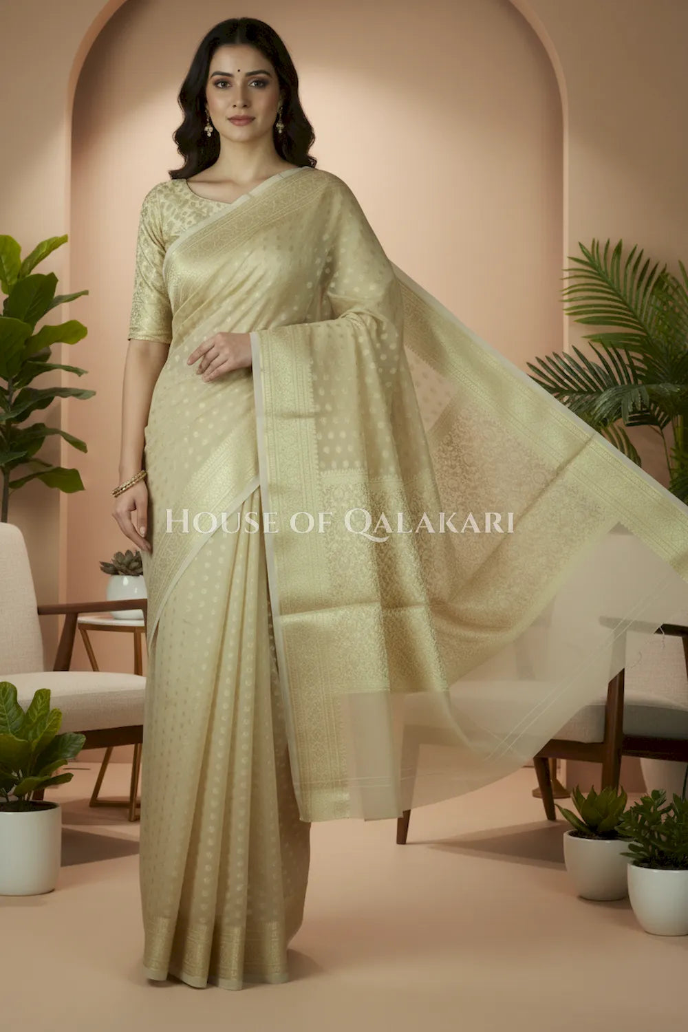 cotton saree 0358 front pose