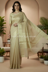 cotton saree 0358 front pose