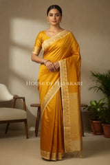 Silk Saree front pose