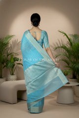 cotton saree 0355 back pose