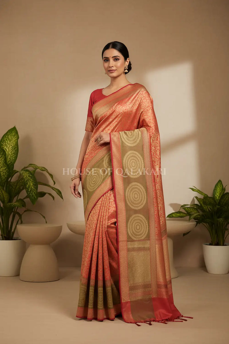 georget silk saree front pose