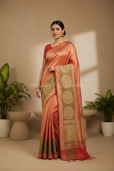 georget silk saree front pose
