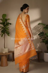 Silk Saree back pose