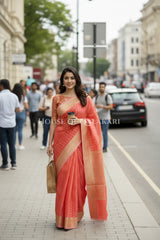 cotton saree 0356 outdoor pose