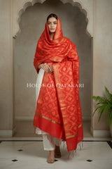 silk dupatta 0232 head pose1
