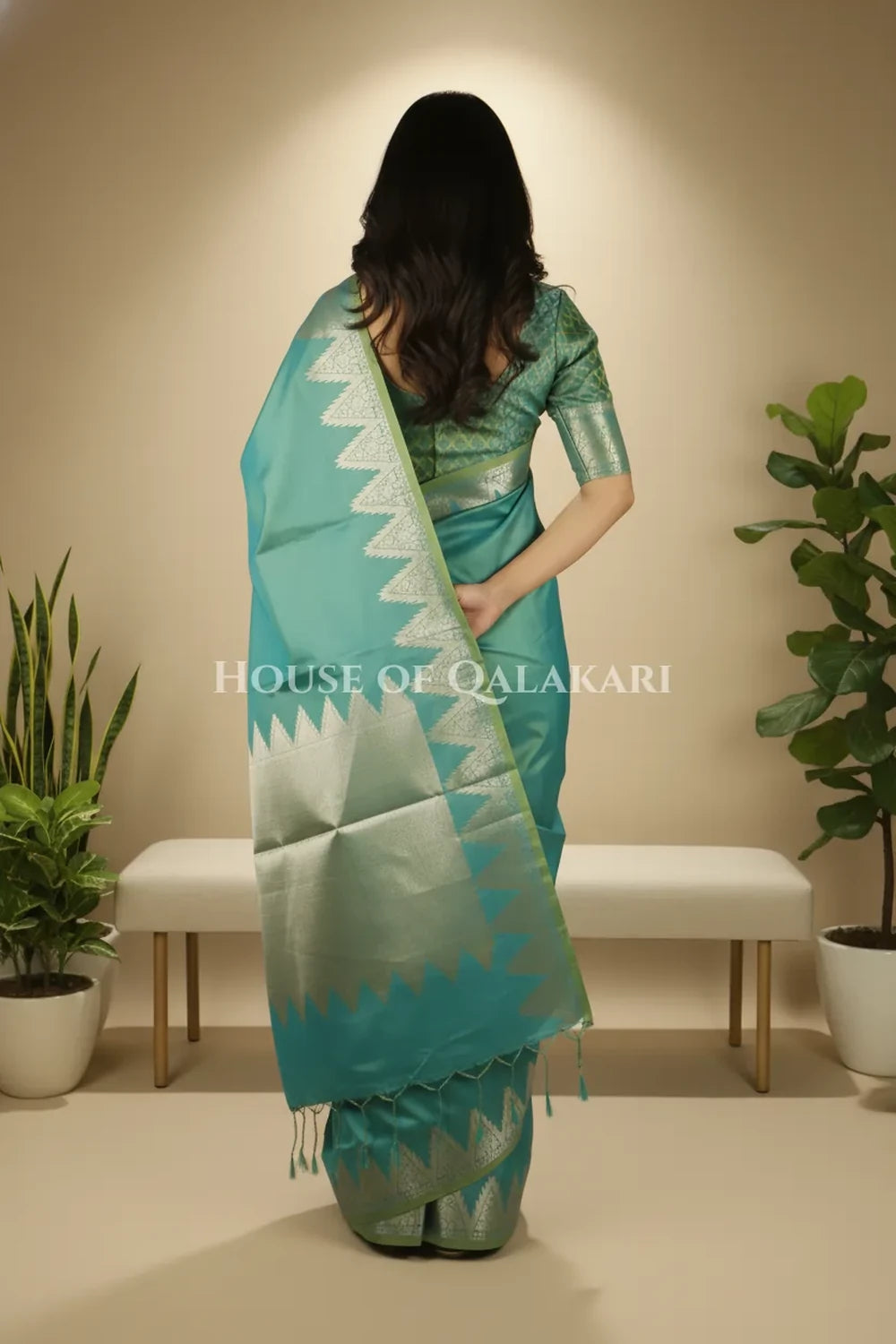 Silk Saree back pose