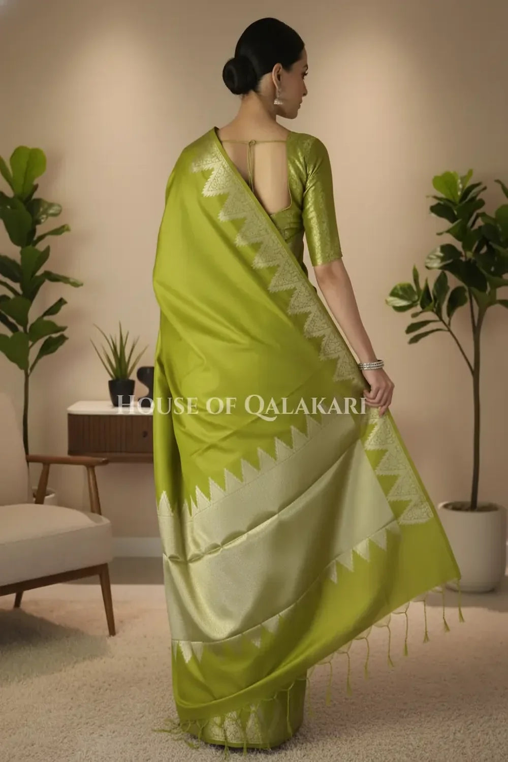 Silk Saree back pose