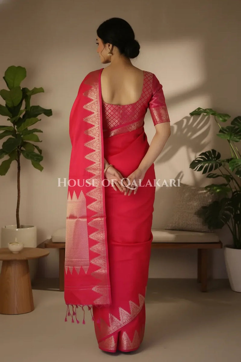 Silk Saree back pose