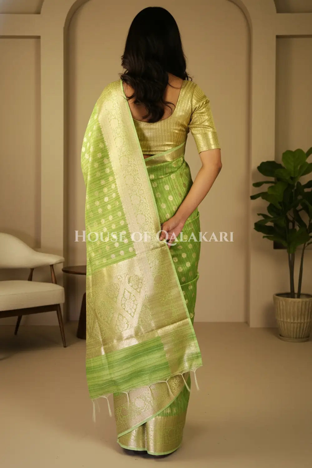 cotton saree back pose
