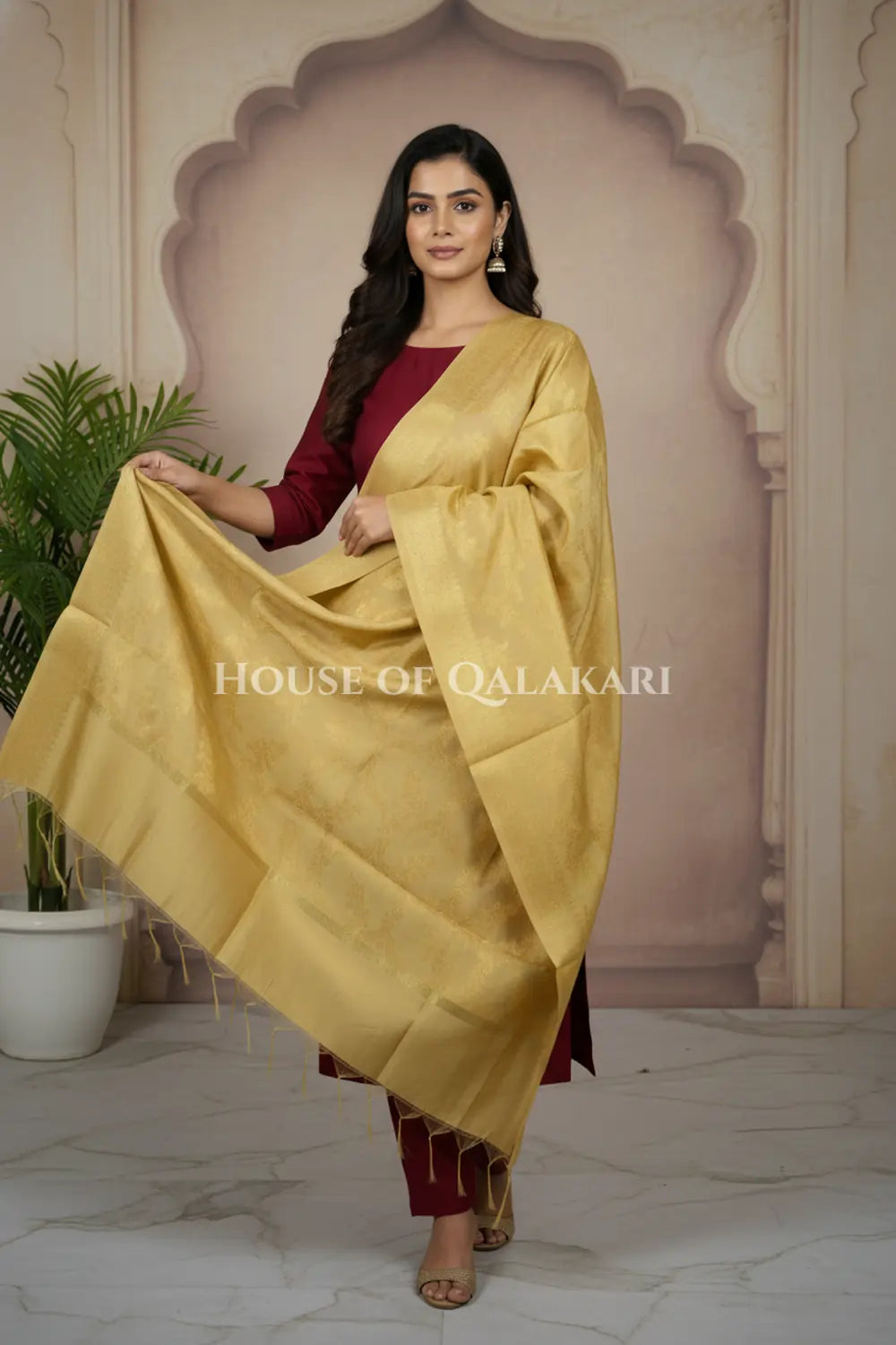 silk dupatta 0244 dramatic pose