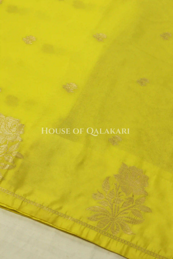 Mango Silk Saree body