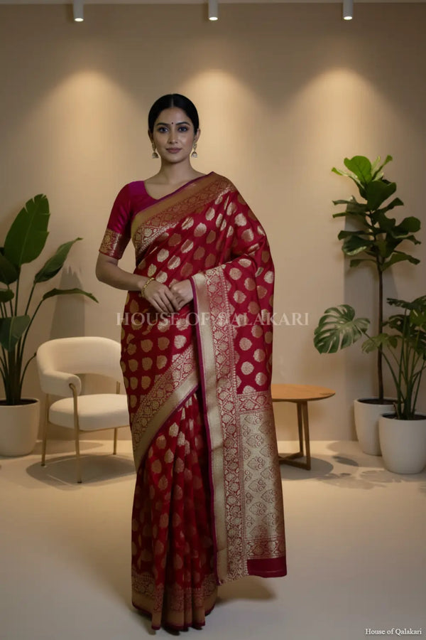 georget silk saree front pose