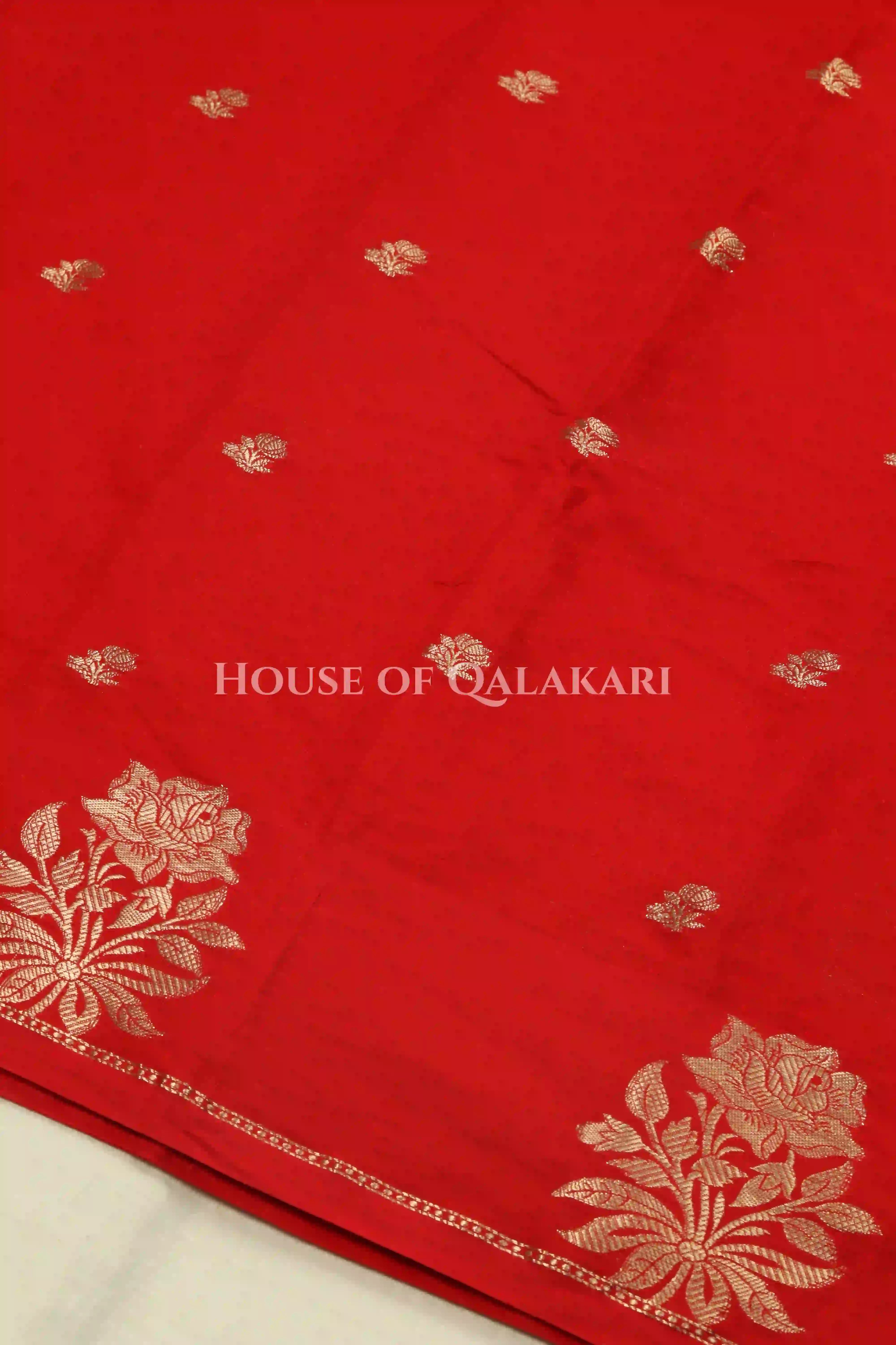 Mango Silk Saree body