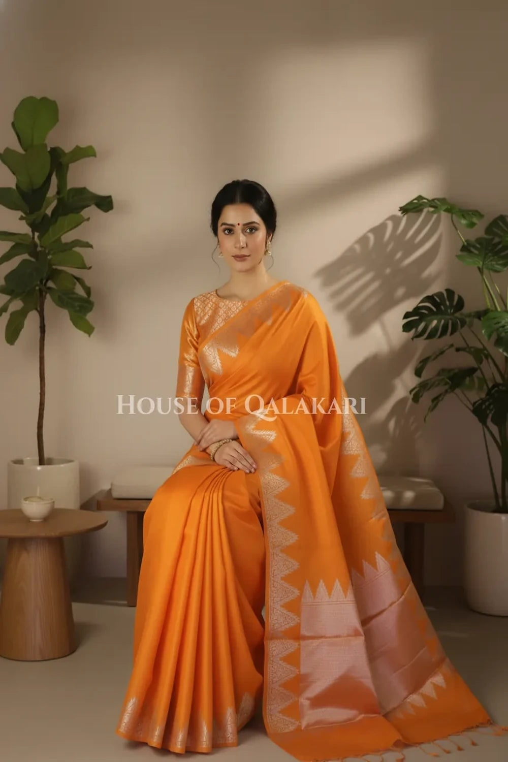 Silk Saree sitting pose