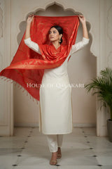 silk dupatta 0245 dramatic pose