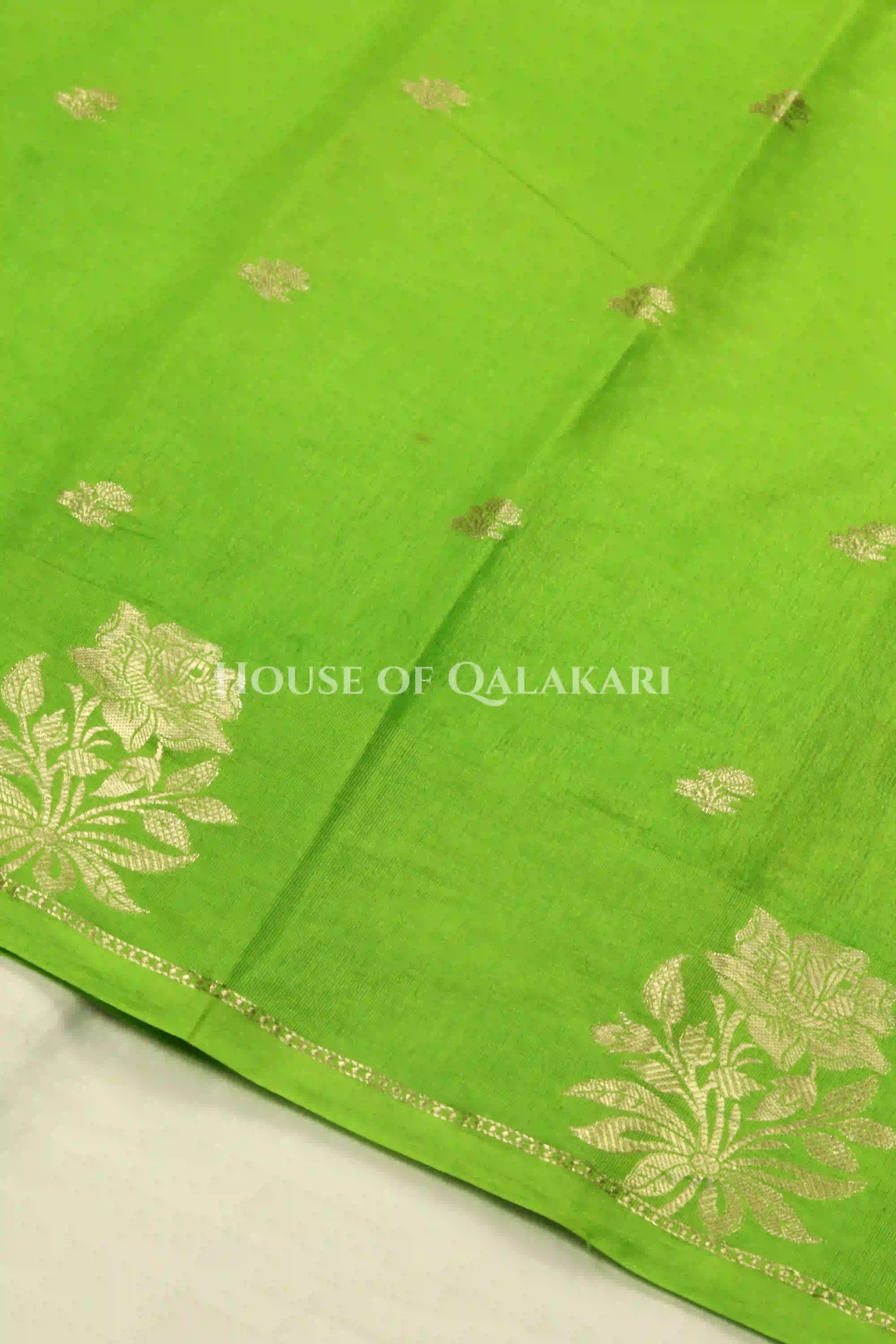 Mango Silk Saree body