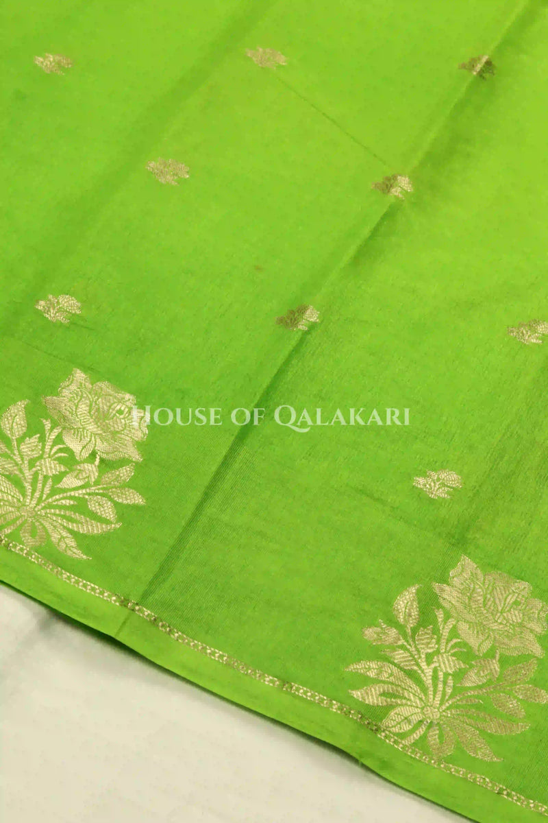 Mango Silk Saree body