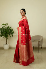 chiniya pure silk saree side pose