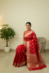 chiniya pure silk saree sitting pose