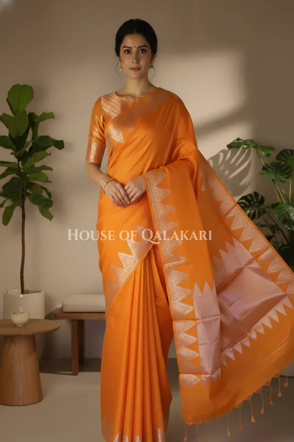 Silk Saree front pose