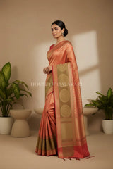 georget silk saree side pose