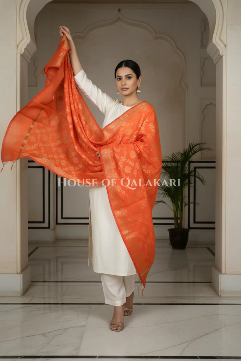 silk dupatta 0236 dramatic pose