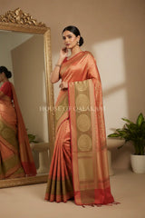 georget silk saree mirror pose