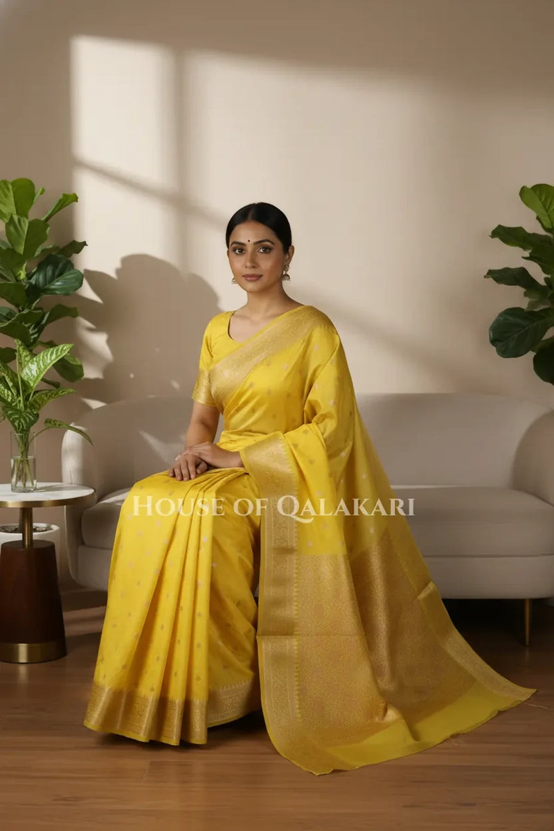 Mushroom silk Saree sitting pose