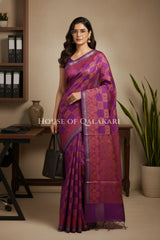 mulmul cotton patola saree office pose