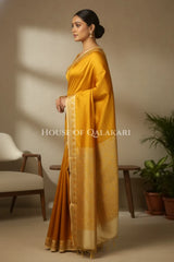 Silk Saree side pose