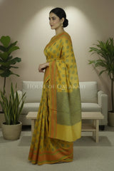 mulmul cotton patola saree 0419 side pose