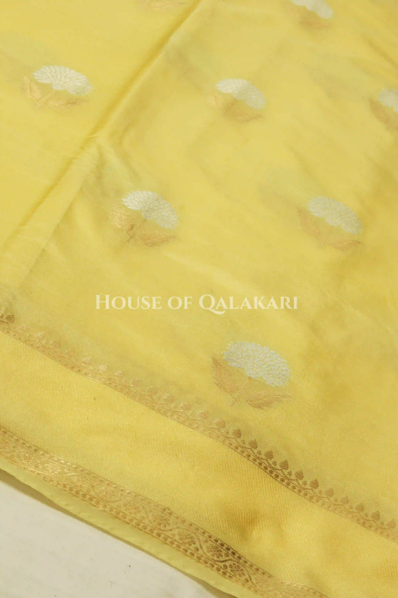 moonga silk saree body