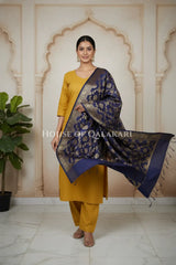 silk dupatta 0234 dramatic pose