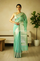 cotton saree front pose