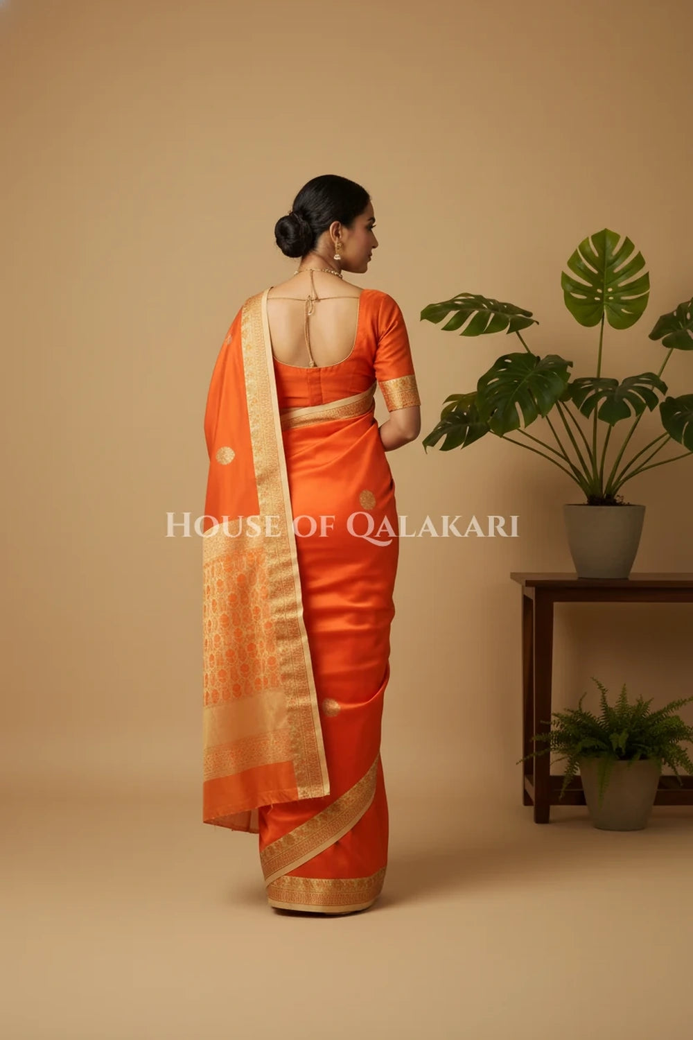 Silk Saree back pose