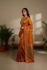 georget silk saree side pose