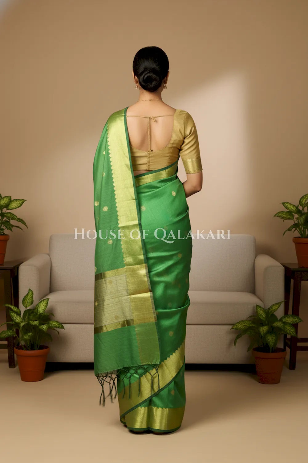 cotton saree 0348 back pose