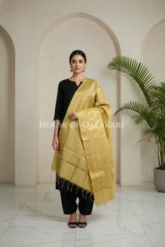 silk dupatta 0244 front pose2