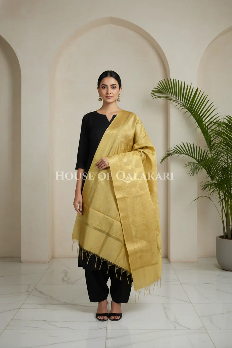 silk dupatta 0244 front pose2