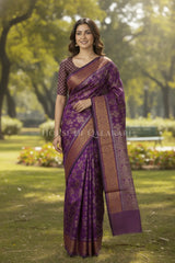 mulmul cotton patola saree 0428 outdoor pose