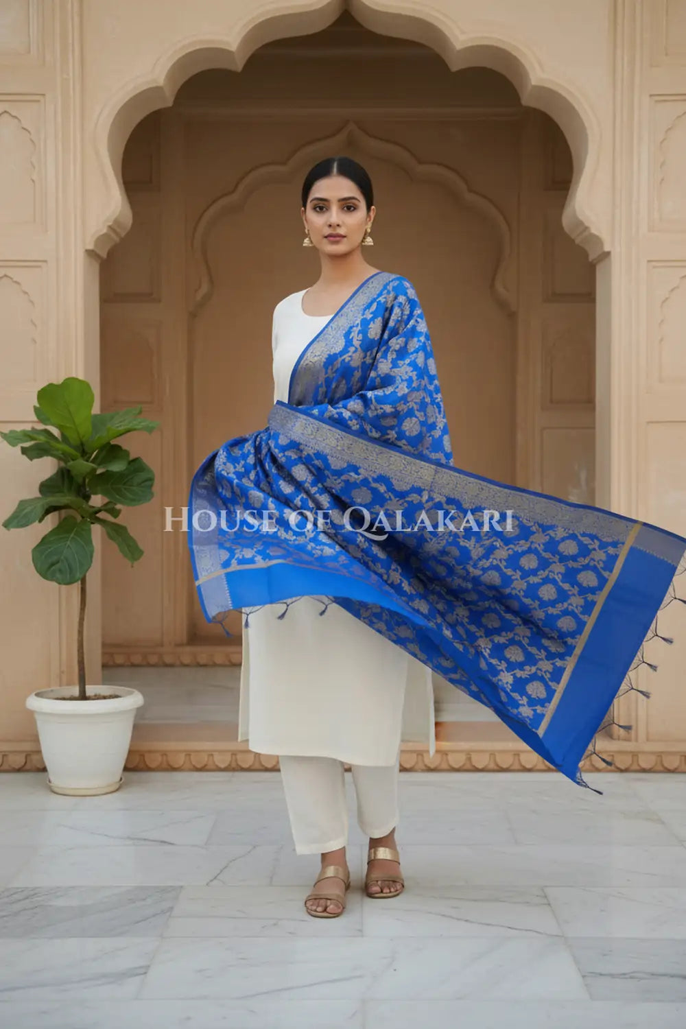 silk dupatta 0243 dramatic pose
