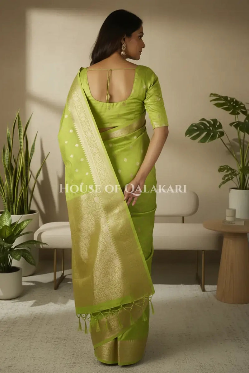 Mushroom silk Saree back pose